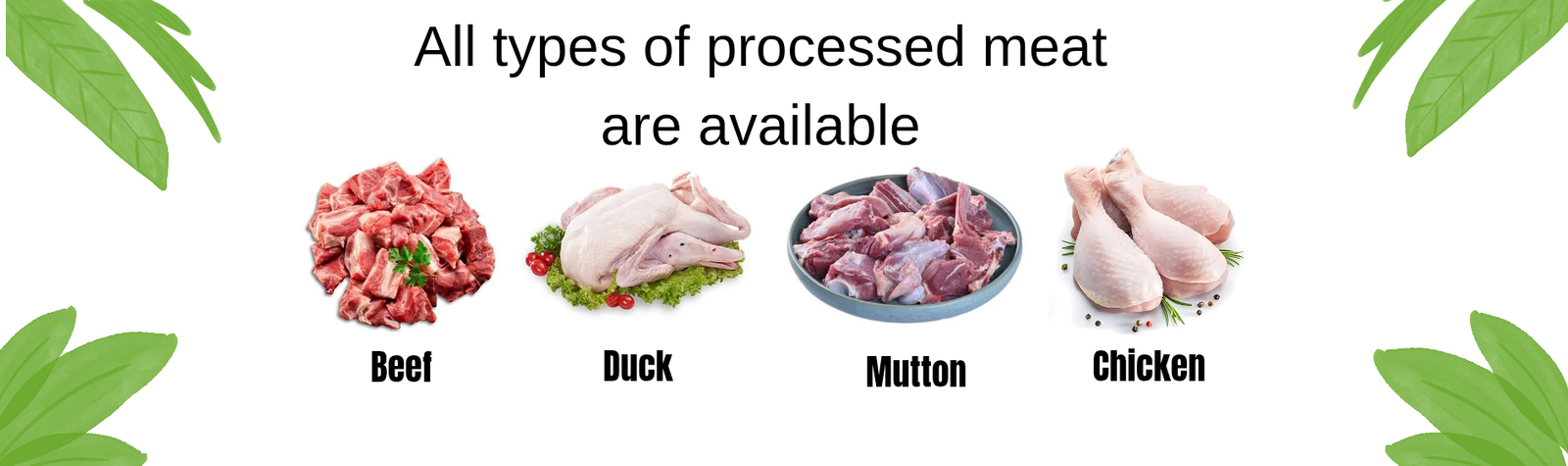 beef_20260121_234407_0000